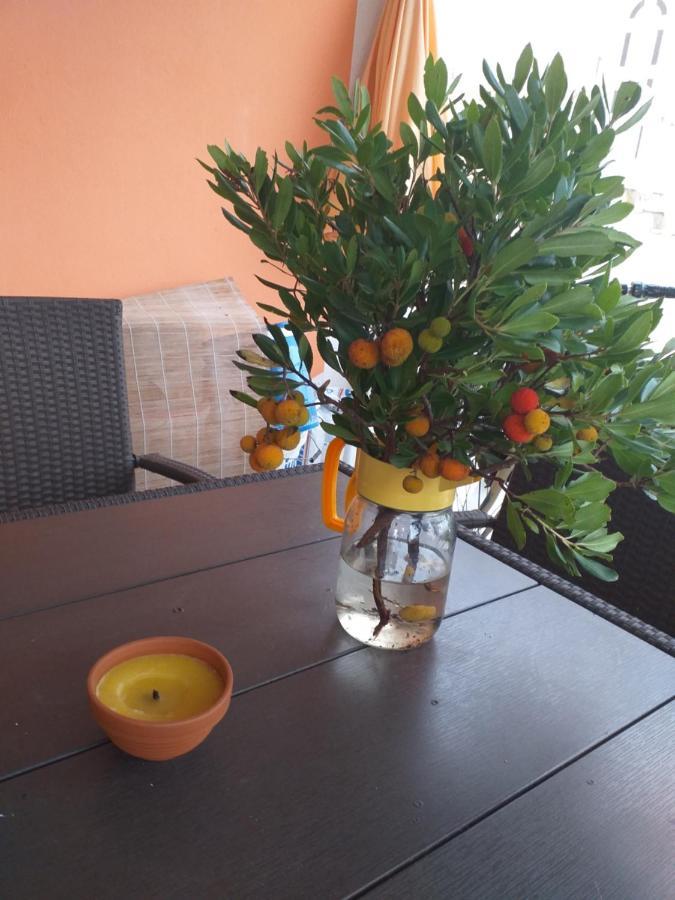 Apartmani Marijanovic Vir Exterior foto